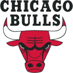 Chicago Bulls Authentic Merchandise